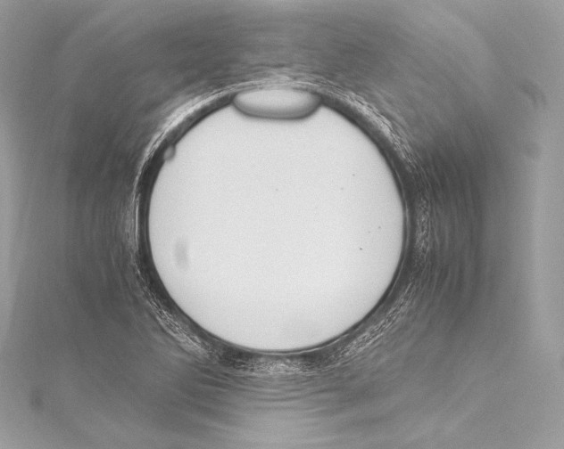 X0000115341270200911301540