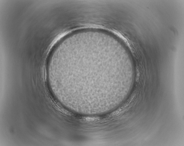 X0000115341271200911301540