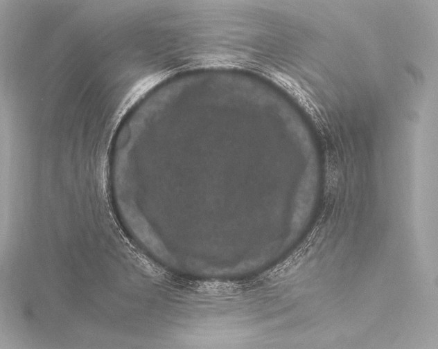 X0000115341277200911301540