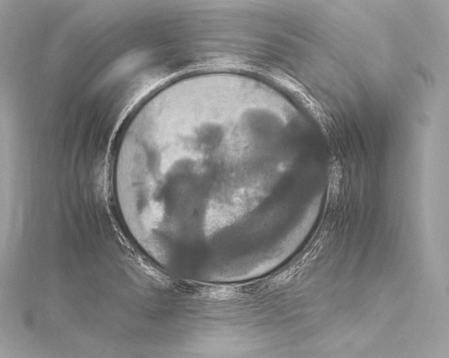 X0000115341278200911301540