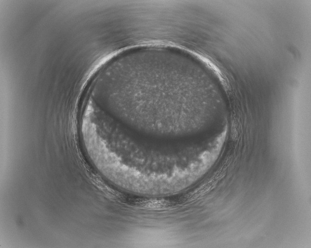 X0000115341279200911301540