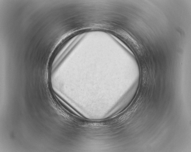 X0000115341280200911301540