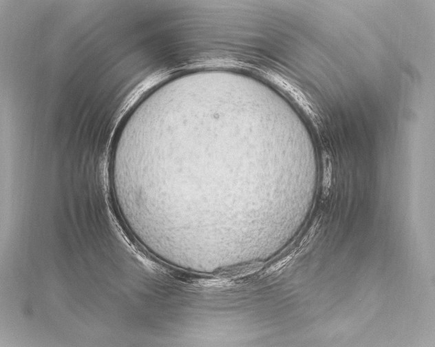 X0000115341282200911301540