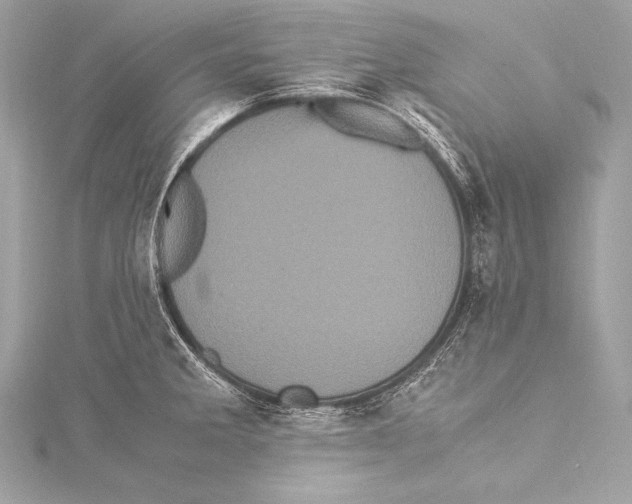 X0000115341285200911301540