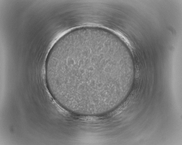 X0000115341287200911301540