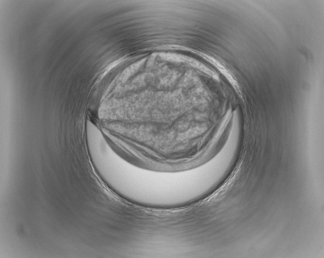 X0000115341289200911301540