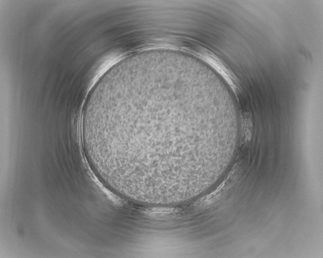 X0000115341290200911301540