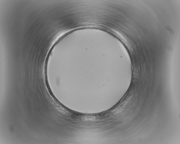 X0000115341291200911301540