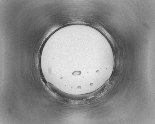 X0000115341293200911301540