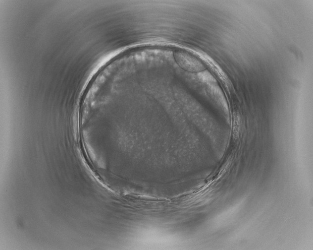 X0000115341295200911301540