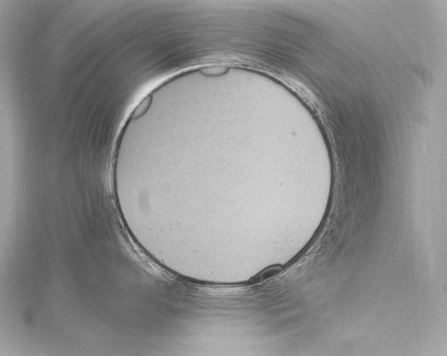 X0000115341296200911301540