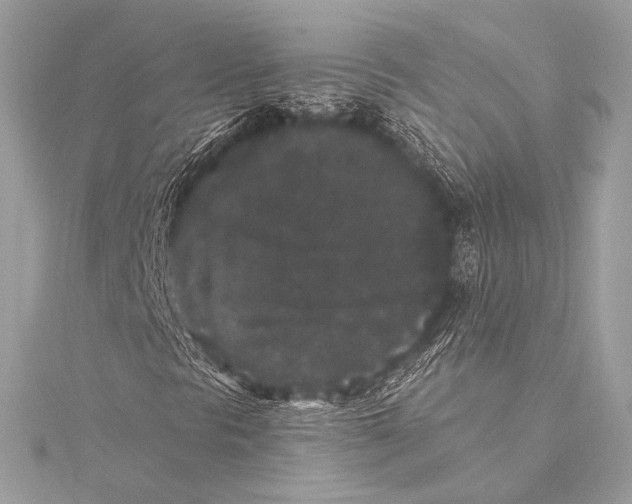 X0000115341297200911301539