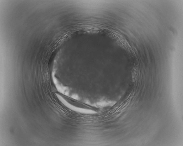 X0000115341298200911301539