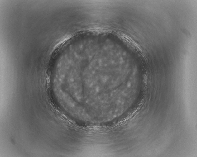 X0000115341302200911301539