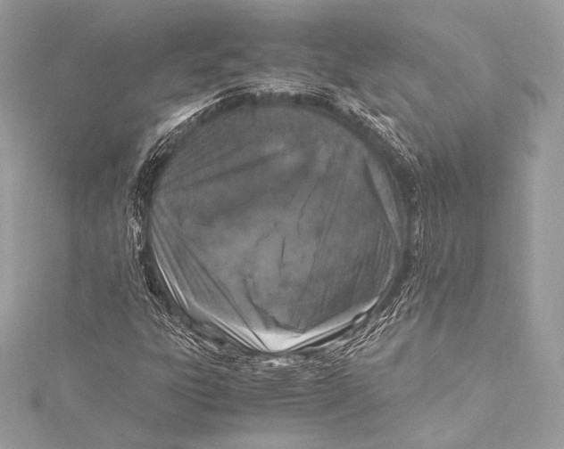 X0000115341303200911301539