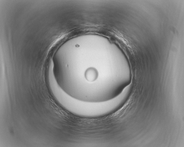 X0000115341309200911301539