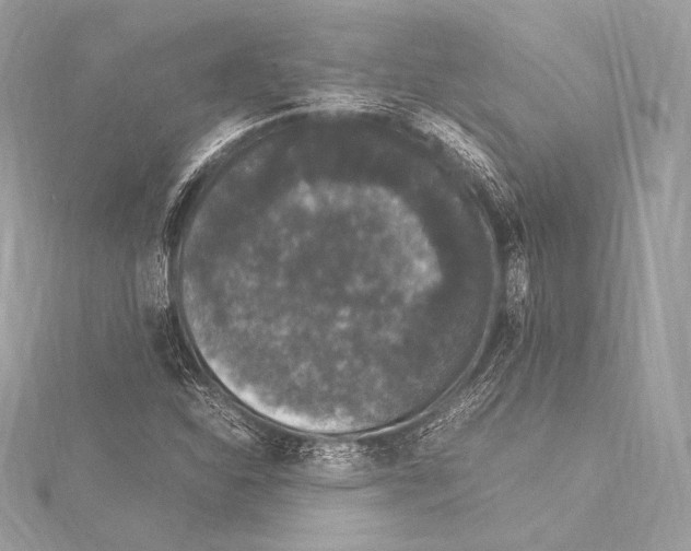 X0000115341310200911301539