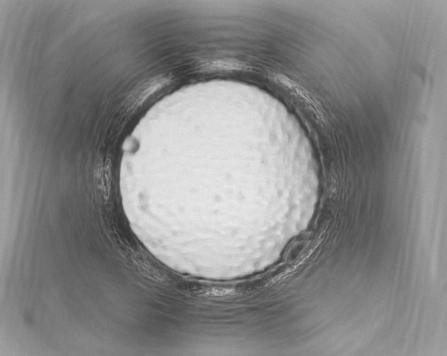 X0000115341313200911301539