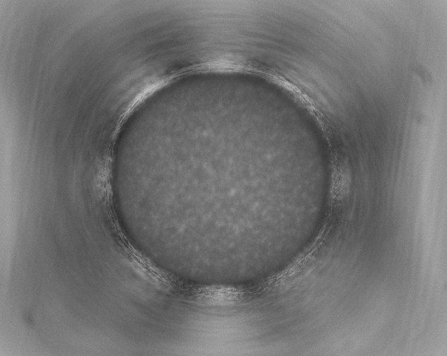 X0000115341314200911301539