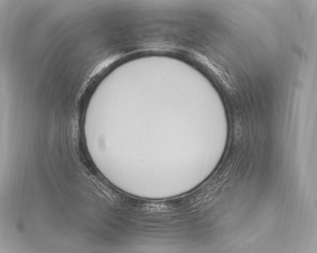 X0000115341315200911301539