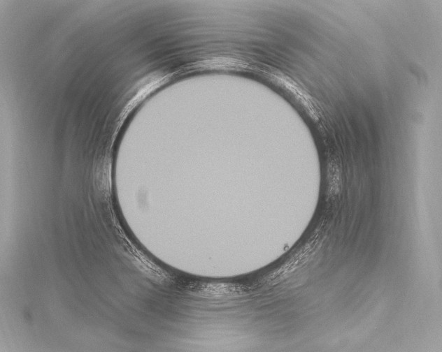 X0000115341322200911301539