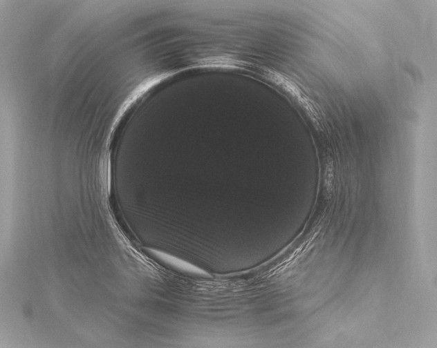 X0000115341323200911301540