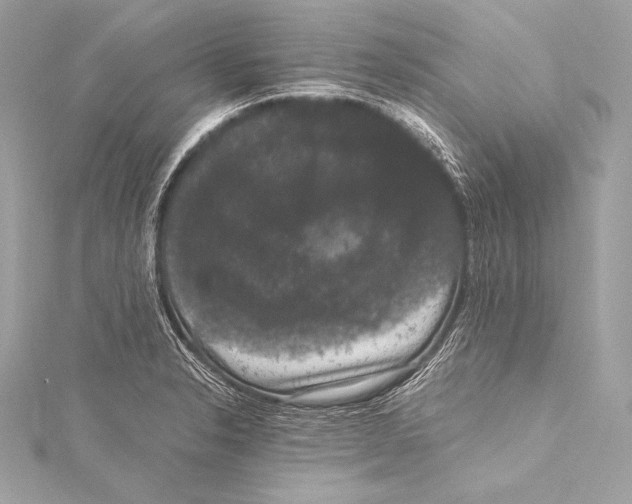 X0000115341326200911301540