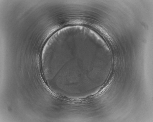 X0000115341329200911301540