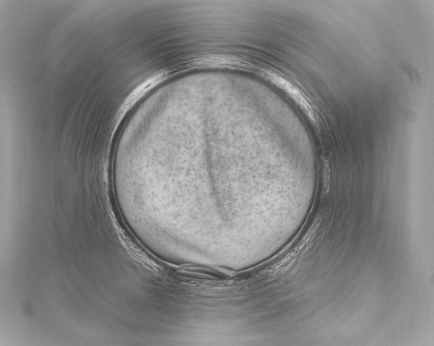 X0000115341330200911301540