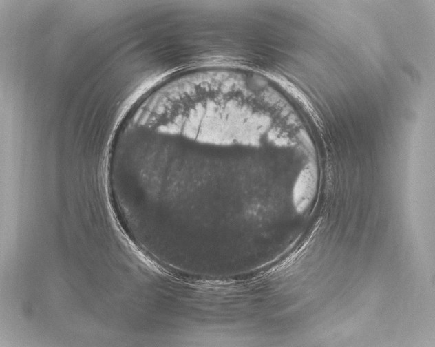 X0000115341333200911301540