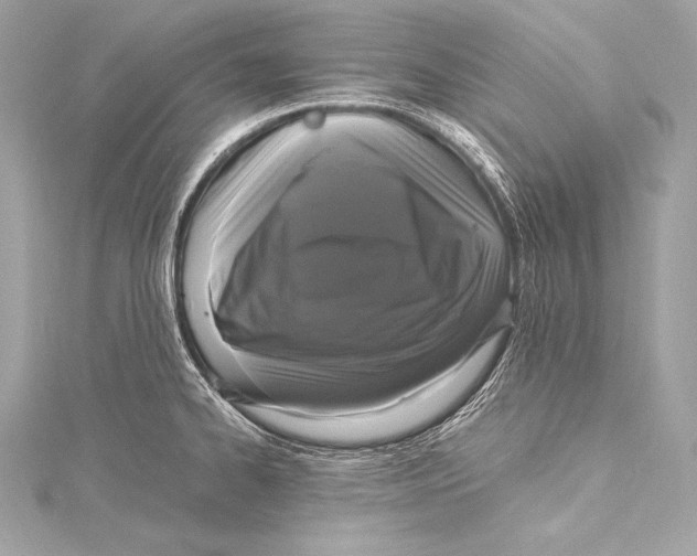 X0000115341334200911301540