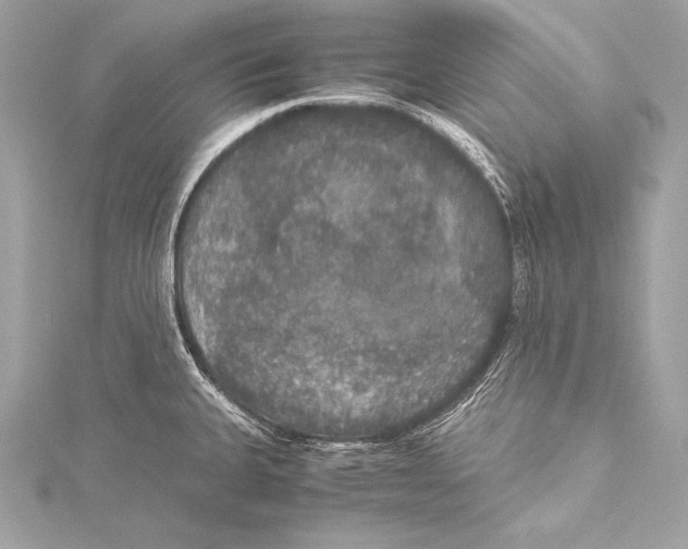 X0000115341335200911301540