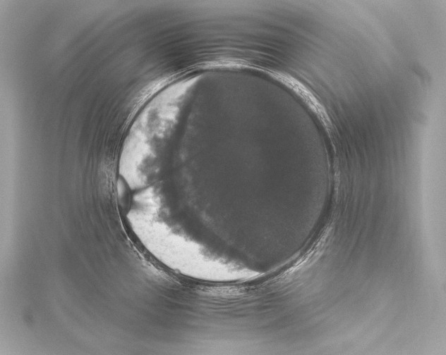 X0000115341337200911301540