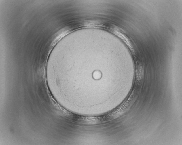 X0000115341338200911301540