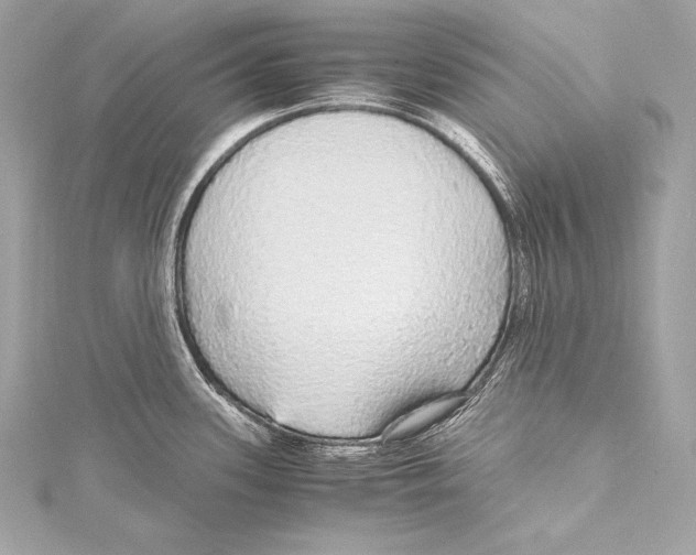 X0000115341339200911301540