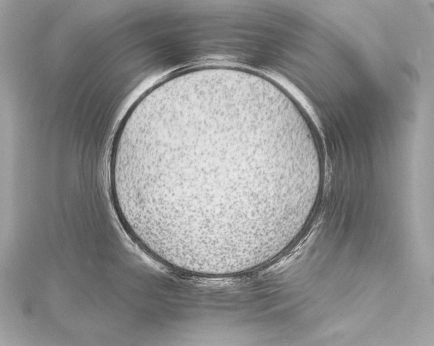 X0000115341341200911301540