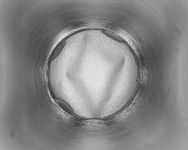 X0000115341342200911301540