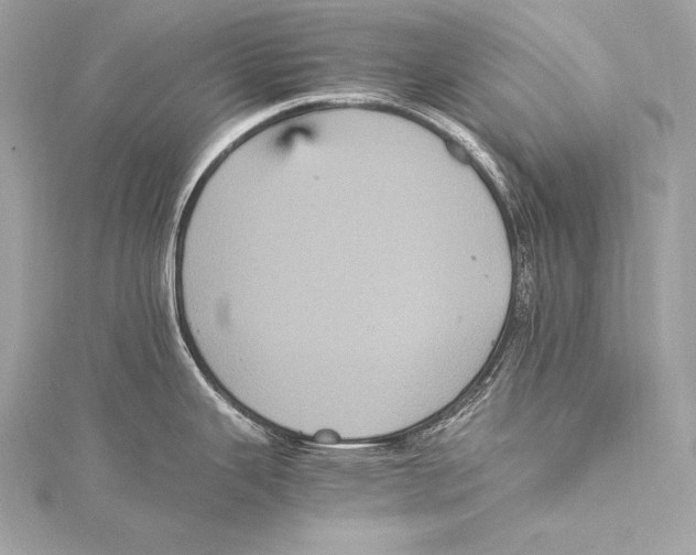 X0000115341343200911301540