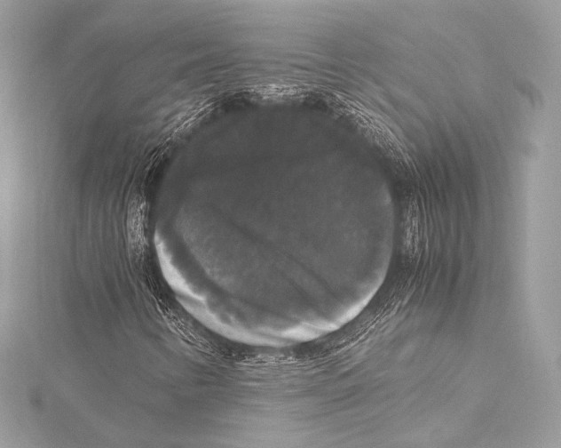 X0000115341346200911301539