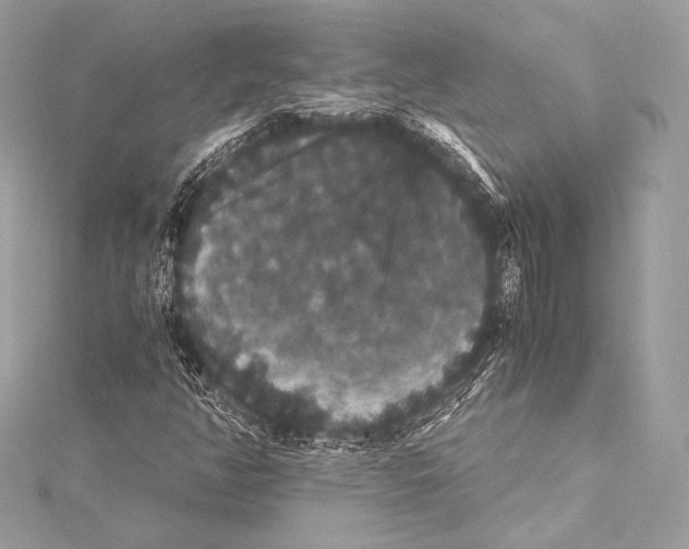 X0000115341350200911301539