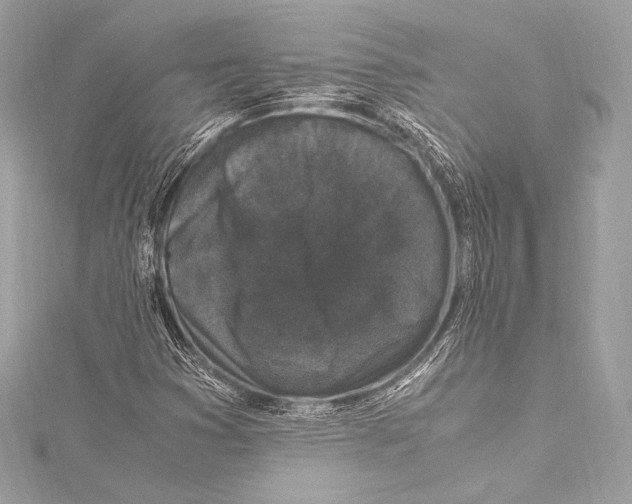 X0000115341353200911301539