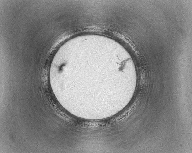 X0000115341355200911301539