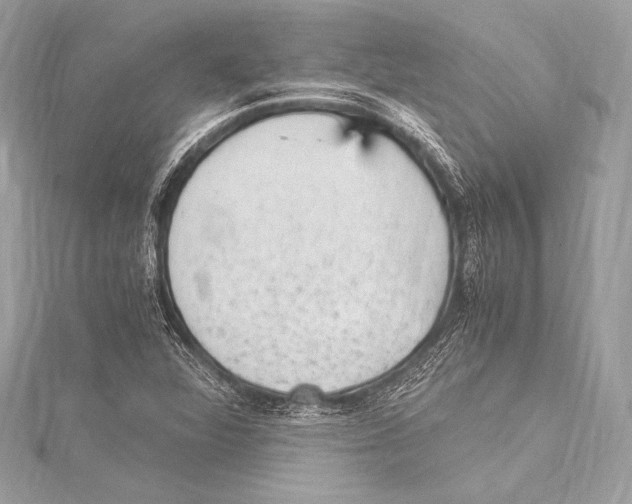 X0000115341360200911301539