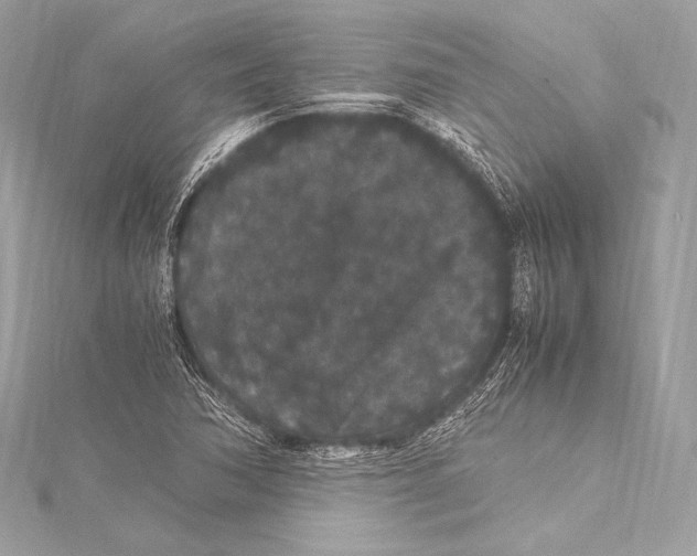 X0000115341362200911301539