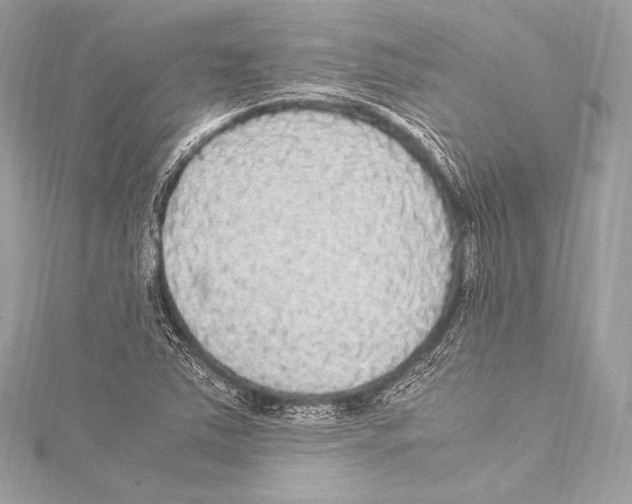 X0000115341363200911301539