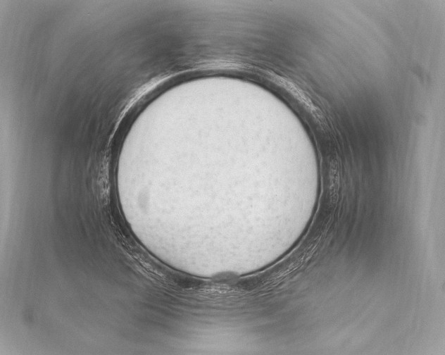 X0000115341364200911301539