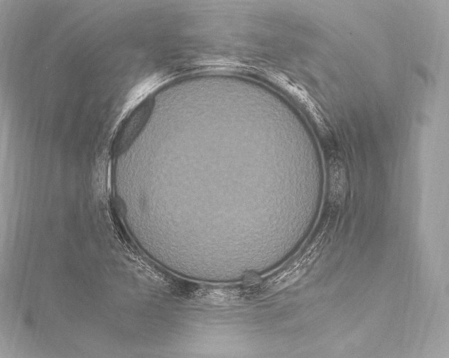 X0000115341365200911301539