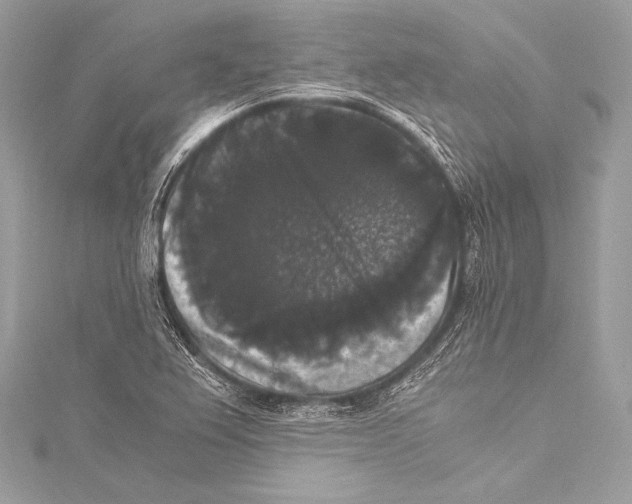 X0000115341367200911301539