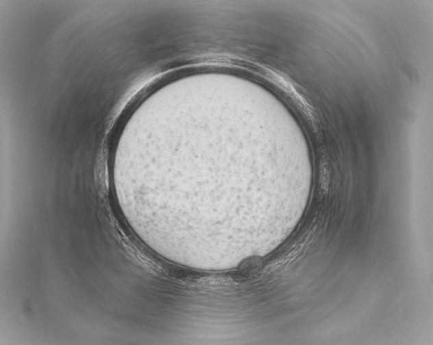 X0000115341368200911301539