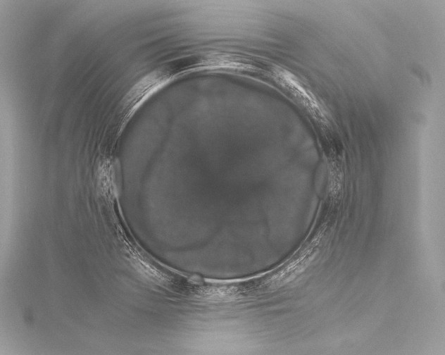 X0000115341369200911301539